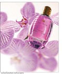 fotka Dámský parfém FM 181 inspirovaný I love love - Moschino